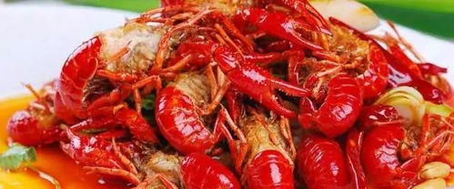 湖北小龙虾的魅力，美食小龙虾深度介绍及其知名度探讨
