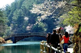 湖北清凉寨风景区门票预约攻略，畅游武汉清凉寨，尽享自然之美