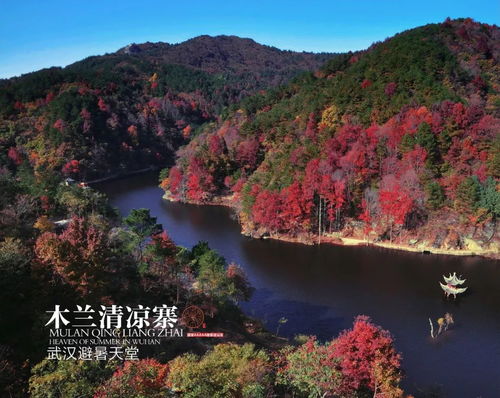 湖北清凉寨风景区门票预约攻略，畅游武汉清凉寨，尽享自然之美