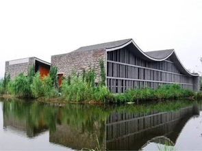 湖北美院周边美食探秘与校区选择指南