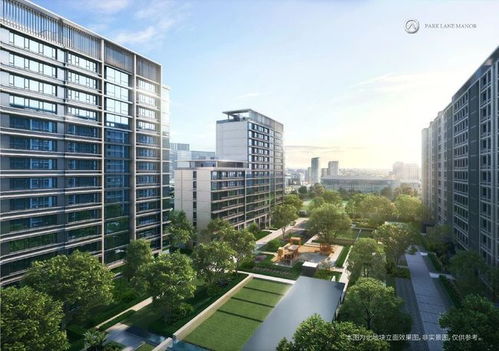 湖北房产探盘实录，新楼盘全面解析