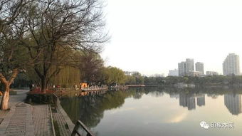 湖北钟祥莫愁湖旅游攻略，探索莫愁村，领略湖光山色之美