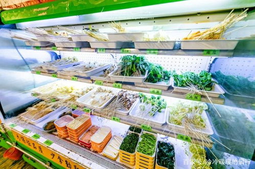 湖北美食旅游视频介绍及下载攻略