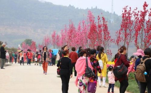 湖北旅游胜地推荐，探索湖北的绝佳旅游地点