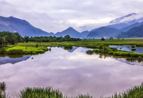 湖北旅游胜地推荐，探索湖北的绝佳旅游地点