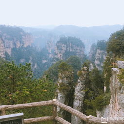 湖北黄石张家界旅游攻略,黄石去张家界旅游