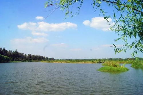 湖北孝感旅游探秘，一日团游遍孝感美景的绝佳体验