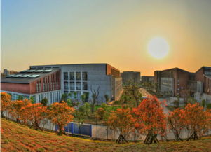 湖北美术学院藏龙岛校区美食与校门数量揭秘