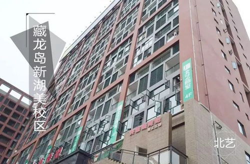 湖北美术学院藏龙岛校区美食与校门数量揭秘