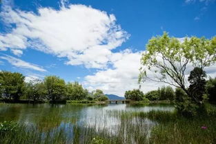 湖北暑期旅游攻略，清凉避暑胜地推荐