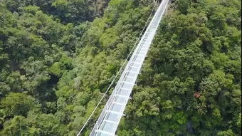 湖北旅游景区三八优惠活动来袭,2021年三八节湖北免费景点大放送 湖北旅游景区三八优惠活动来袭,2021年三八节湖北免费景点大放送