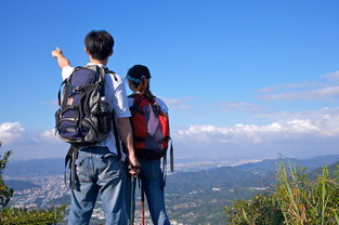 湖北旅游探秘，一篇800字的精彩游记