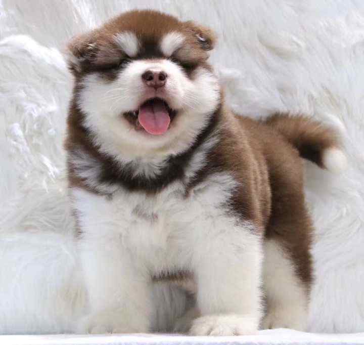 湖北人外出旅游,湖北旅游外地人免门票吗