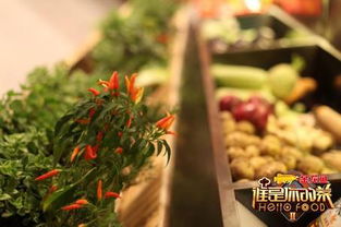 湖北美食的诱惑，锁定目标市场，品味独特风味！