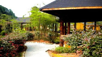 湖北冬季温泉旅游,湖北温泉一日游