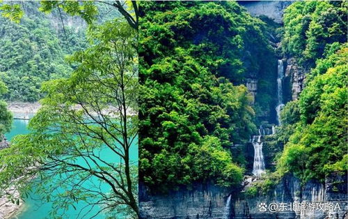 重庆出发恩施三日游攻略，探索恩施之美