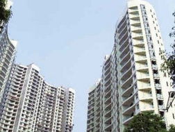 湖北房产小吴揭秘武汉楼市风云人物吴小欺的楼市故事