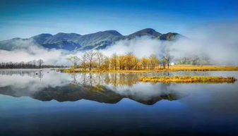 湖北大九湖旅游探秘,国家湿地公园的自然之美 湖北大九湖旅游探秘,国家湿地公园的自然之美