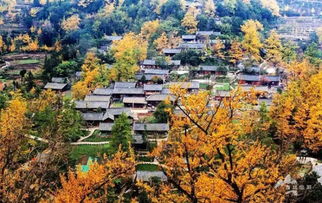 湖北恩施白果乡旅游攻略，赶集时间与旅游探索