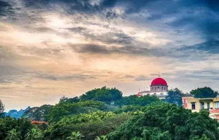 贵州情侣奔赴湖北一线旅游，爱的旅程展现勇气与浪漫