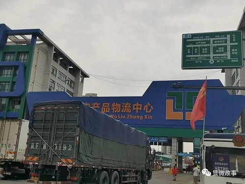 湖北宠物旅游与批发市场探访 湖北宠物旅游与批发市场探访