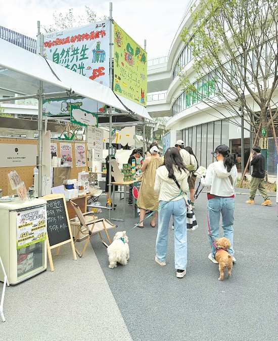 湖北宠物旅游与批发市场探访 湖北宠物旅游与批发市场探访