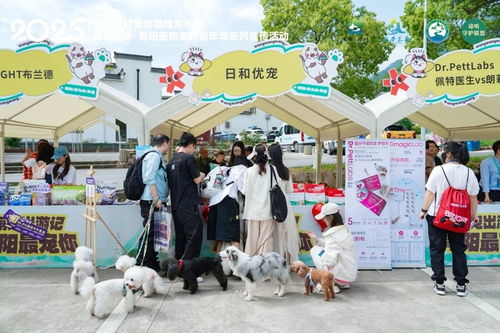 湖北宠物旅游与批发市场探访 湖北宠物旅游与批发市场探访