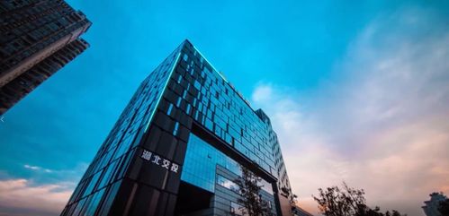 湖北房产投资集团官网,湖北房地产投资集团是国企吗