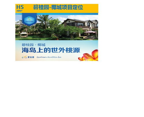 湖北房产营销代理平台总部与武汉房地产营销代理公司的业务探索与成功实践