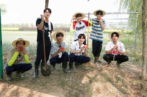 湖北独自乘机归国的少年，十二岁男孩独自回国经历