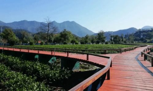 湖北旅游探秘,2020年深度游攻略 湖北旅游探秘,2020年深度游攻略