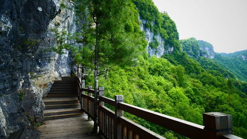 湖北旅游景点大揭秘,探索境内绝美胜地名称全攻略 湖北旅游景点大揭秘,探索境内绝美胜地名称全攻略