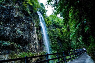 湖北自驾游攻略，探索湖北的美丽自驾之旅