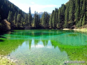 湖北周边游玩好去处推荐，近距离探索湖北的旅游胜地