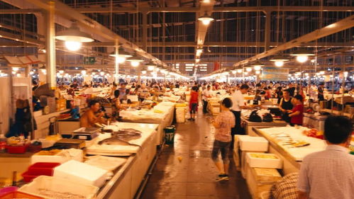 湖北美院象山校区美食街，学生人数与美食的双重魅力探索