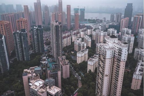 湖北房产大军,湖北房企