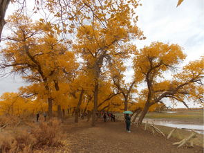 湖北金秋十月与十一月旅游攻略大全