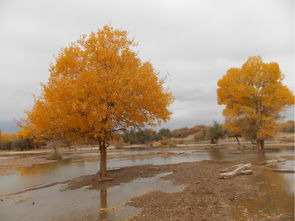 湖北金秋十月与十一月旅游攻略大全