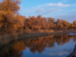 湖北金秋十月与十一月旅游攻略大全