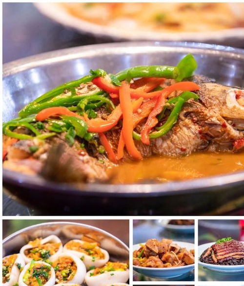 湖北美食探店体验与收费揭秘，武汉美食探店节目带你领略美食之旅