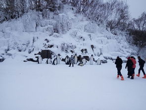 湖北冬季旅游全攻略，冬季旅行指南
