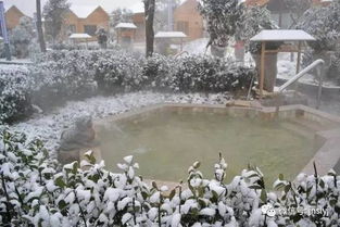 湖北冬季旅游全攻略，冬季旅行指南