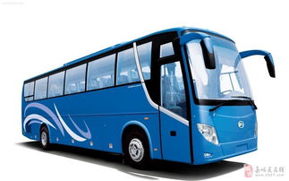 湖北旅游巴士租车服务，专业大巴车旅游体验之旅