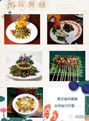 湖北毛果坛子馅与团子馅料制作秘诀，传统美食的烹饪之道