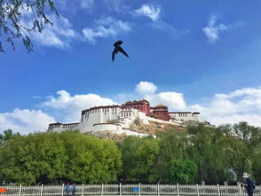 湖北组团国庆旅游,湖北国庆旅游适合去哪里?