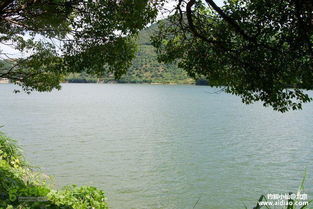 湖北钓鱼度假新体验，水库垂钓休闲之旅