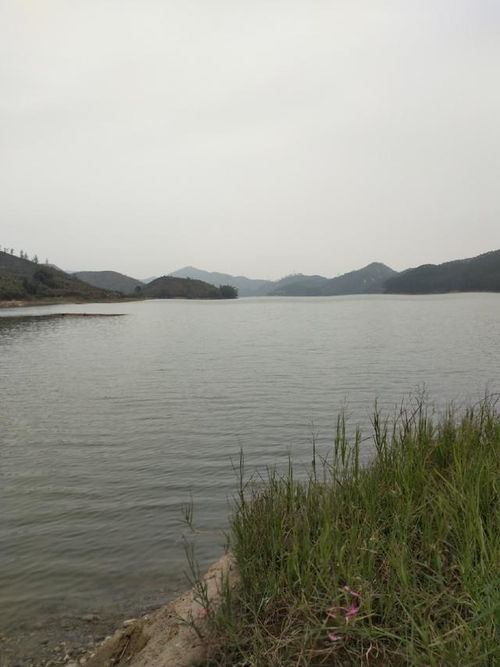 湖北钓鱼度假新体验，水库垂钓休闲之旅