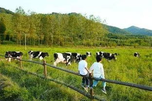 湖北农业旅游开发助力农业发展新篇章