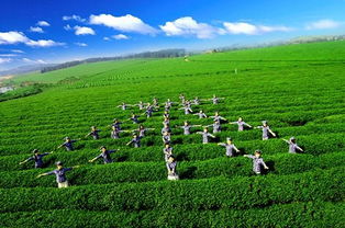 湖北农业旅游开发助力农业发展新篇章