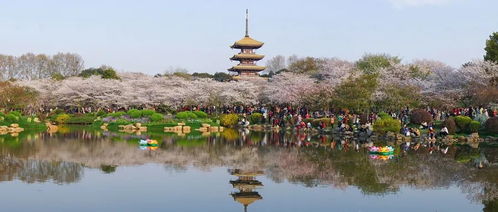 湖北预约旅游景区攻略，探索预约旅游的魅力之地